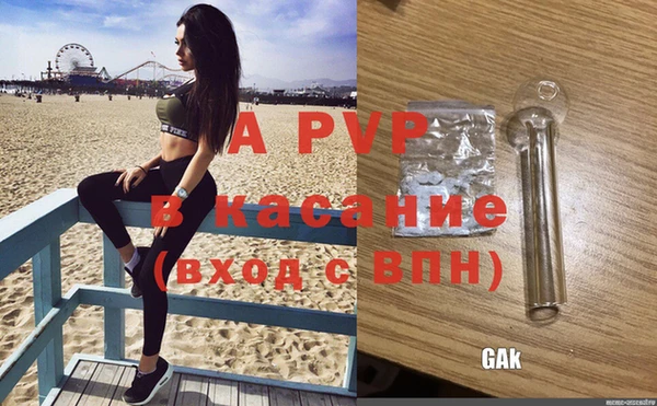 прущие крисы Балахна