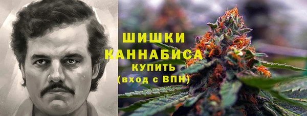 прущие крисы Балахна